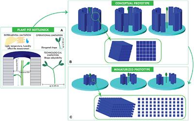 Design Study of a Novel Positron Emission Tomography System for Plant Imaging